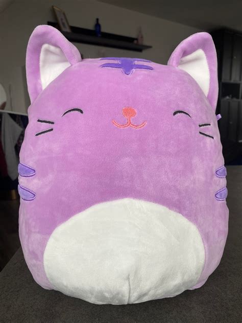 Fun ways to play with your purple witch cat Squishmallow.